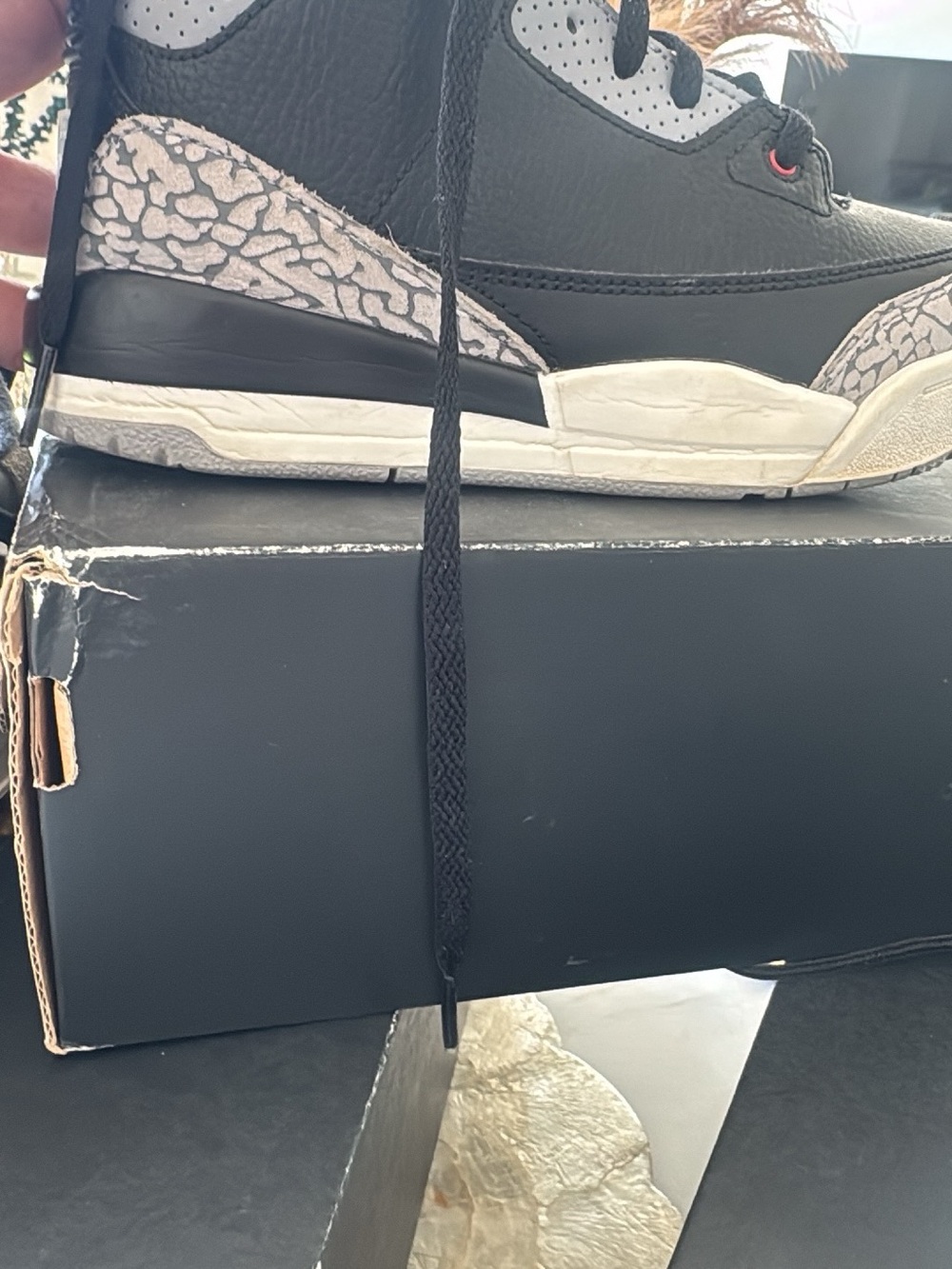 Kids Black and Grey Elephant Print Sneakers